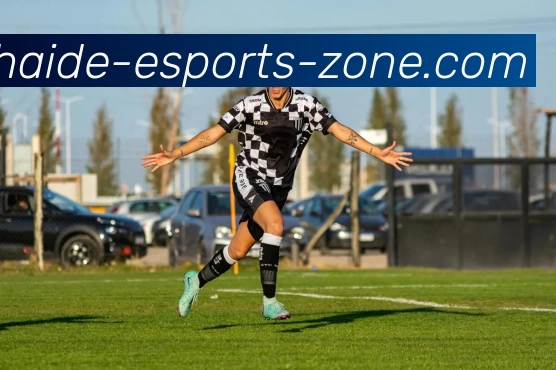 海德电竞Zone平台生态图